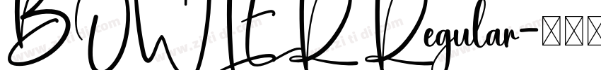 BOWLER Regular字体转换